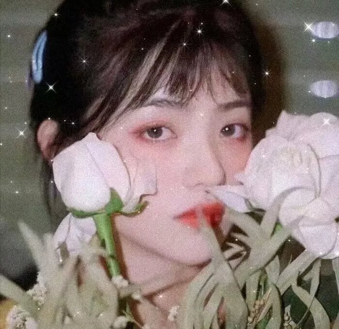 艾洛思的顶级生活